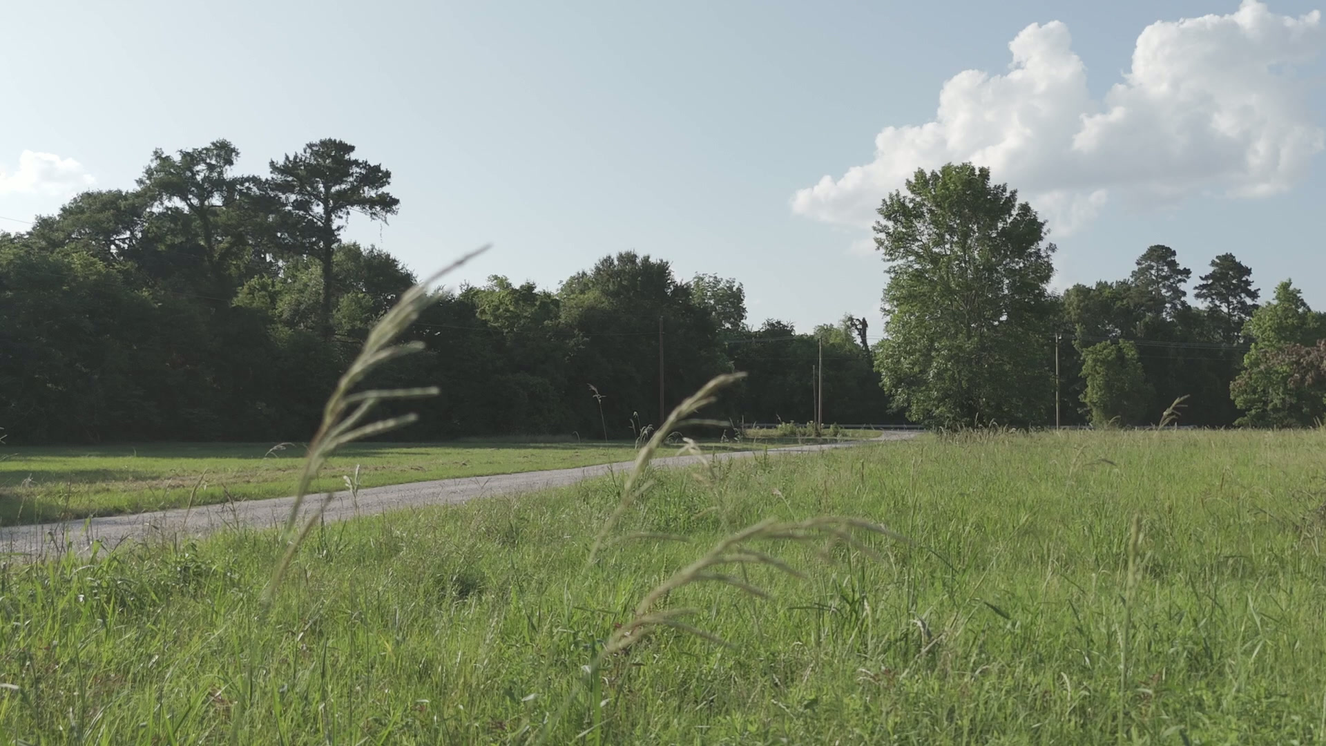 East Texas greenery in a Fabled Lens film